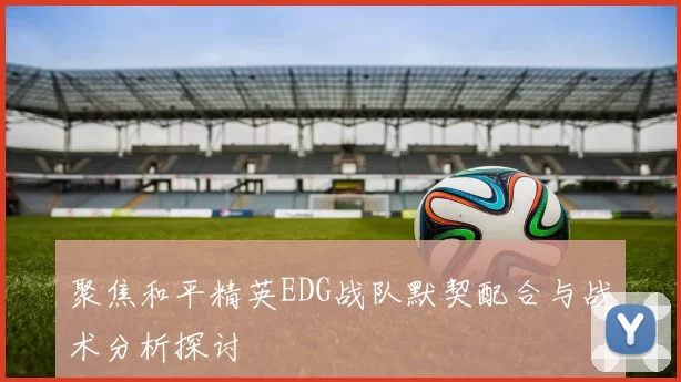 聚焦和平精英EDG战队默契配合与战术分析探讨