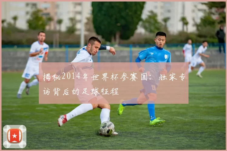 揭秘2014年世界杯参赛国:独家专访背后的足球征程