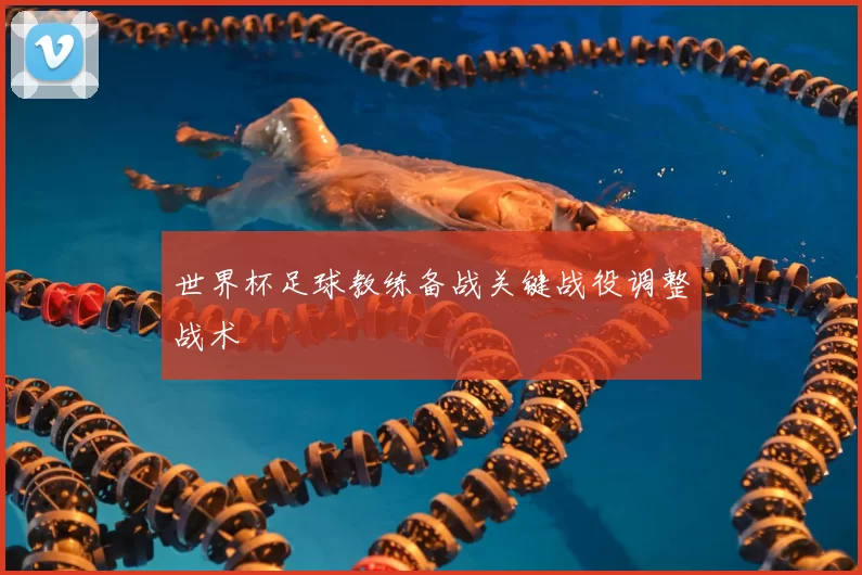 世界杯足球教练备战关键战役调整战术