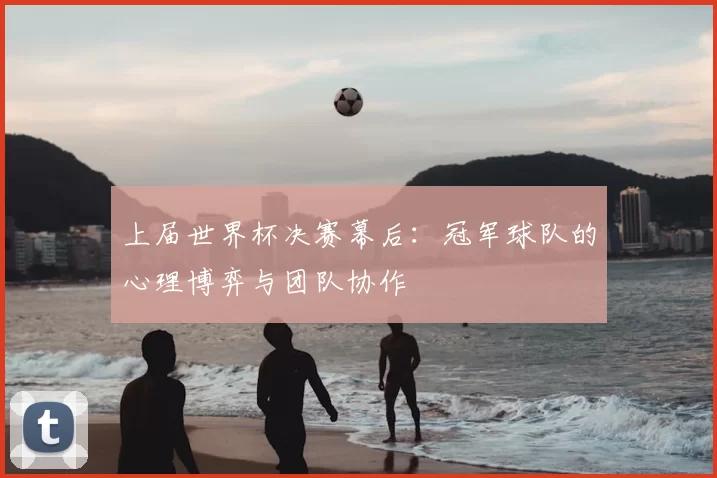 上届世界杯决赛幕后：冠军球队的心理博弈与团队协作