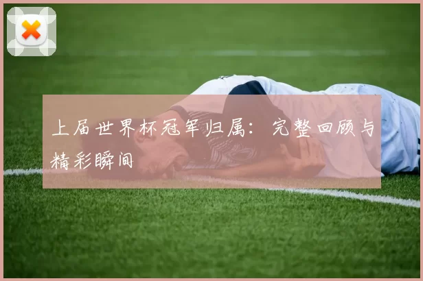 上届世界杯冠军归属:完整回顾与精彩瞬间