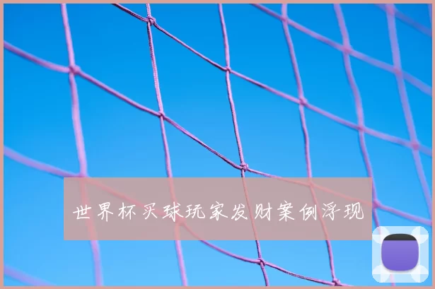 世界杯买球玩家发财案例浮现