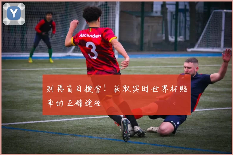别再盲目搜索！获取实时世界杯赔率的正确途径