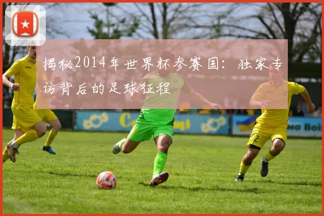 揭秘2014年世界杯参赛国:独家专访背后的足球征程