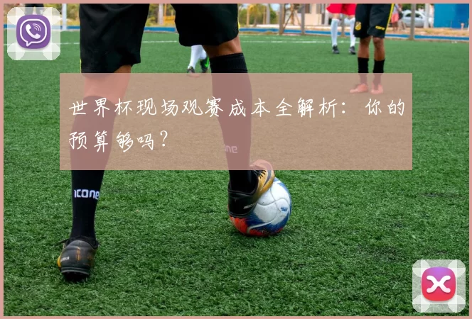 世界杯现场观赛成本全解析:你的预算够吗?