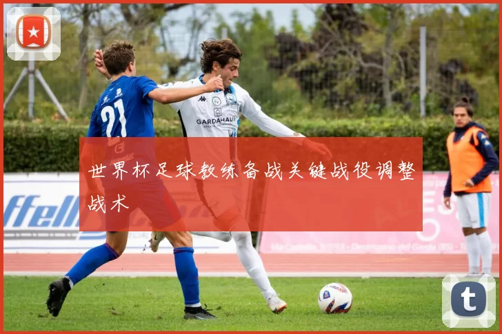 世界杯足球教练备战关键战役调整战术