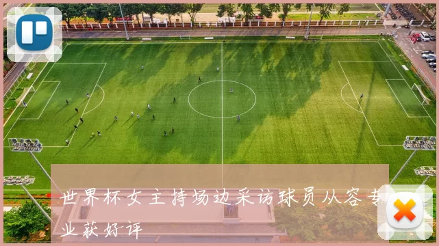 世界杯女主持场边采访球员从容专业获好评